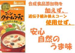 �Ϸ��ҡ������󥯥꡼�ॷ���塼