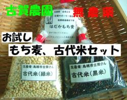 �Ų����ࡡ̵����������������ơ�������å�