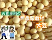 古賀農園 国産無農薬栽培大豆