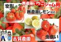 �Ų����ࡡ̵�������󣲸ġ�̵�������ݤ�������������ѡ��ѷ�������������ˡ����ѥå�����������ʾ�