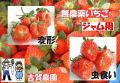 �Ų����ࡡ̵�������ݤ�������������ѡ��ѷ�������������ˡ����ѥå��������ʾ�
