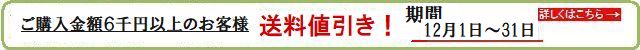 12月期間限定　購入金額6千円以上のお客様送料値引き！