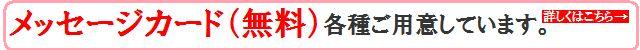 メッセージカード（無料）各種ご用意しています。