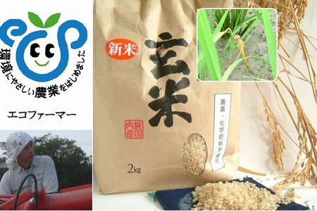 福岡県産　無農薬玄米　２０１４年産新米　販売開始！