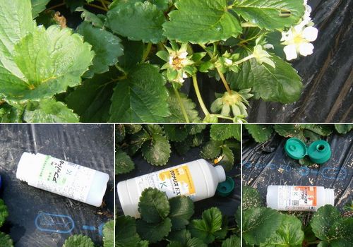 ���w�_��s�g�p�͔|䕁@���_��͔|����ق̂��@