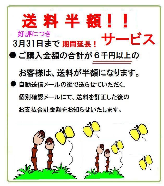 送料半額キャンペーン　ご購入金額6千円以上で送料半額！3月末まで期間延長
