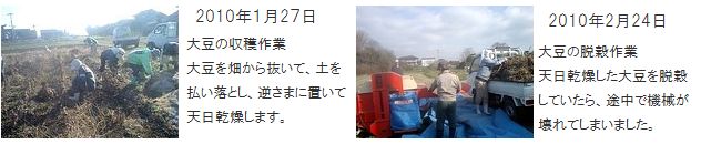 古賀農園の無農薬栽培大豆収穫、脱穀作業