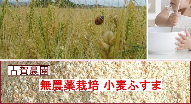 古賀農園無農薬栽培小麦ふすまを混ぜて自分好みの「my全粒粉」を作ろう!