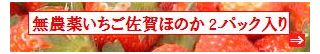 古賀農園　佐賀県産　無農薬栽培苺　佐賀ほのか２パック入り