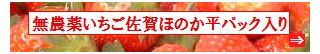 古賀農園　佐賀県産　無農薬栽培苺　佐賀ほのか平パック入り