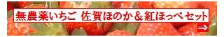 古賀農園　佐賀県産　無農薬栽培苺　佐賀ほのか＆紅ほっぺセット