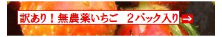 古賀農園　佐賀県産　無農薬栽培苺　訳あり２パック入り