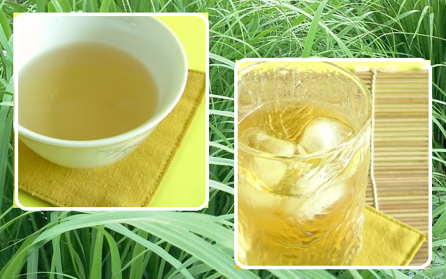 九州産無農薬栽培レモングラス使用　焙煎ハーブティー　たけがや焙ジ茶（レモングラス焙じ茶）