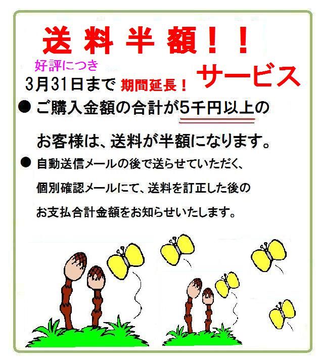 好評につき3月末まで期間延長！　購入金額５千円以上のお客様送料半額！
