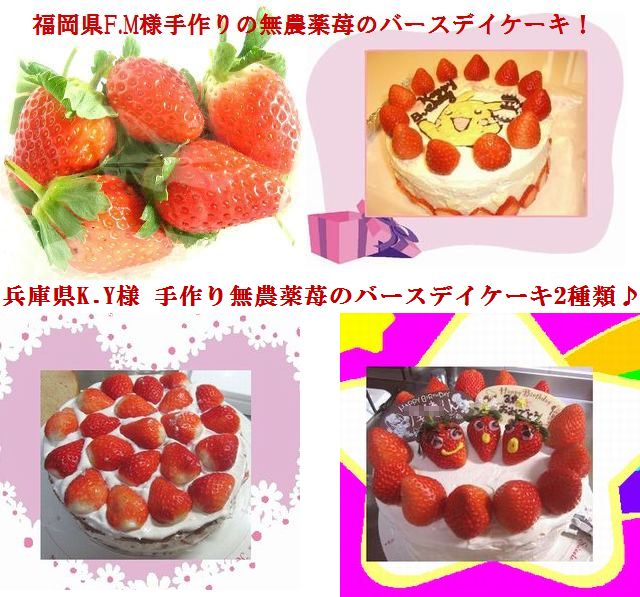 古賀農園の無農薬栽培いちごをたっぷり使ったお客様手作り苺ケーキ!!