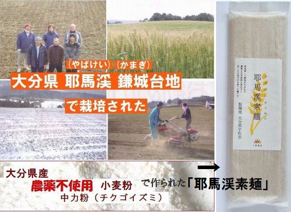 下郷農協の耶馬渓素麺