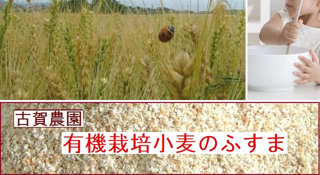 古賀農園無農薬栽培小麦ふすまを混ぜて自分好みの「my全粒粉」を作ろう!